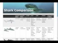 {Web-D, Responsive 36} Tables
