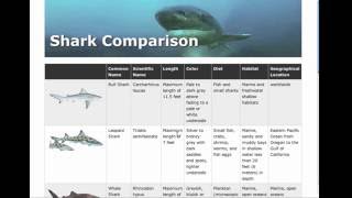 {Web-D, Responsive 36} Tables