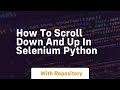 How to scroll down and up in selenium python