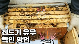 03월 28일 벌통 뚜겅을 닫고 진드기 유무 확인하기?!  #8