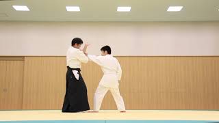 Meishinryu Aikido 明真流　合気道の稽古　2020 0816 【横浜　合気道】