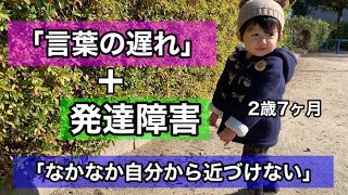 【2歳言葉の遅れ】周りの子が喋る事に自信をなくした私!!再度公園に連れていきました