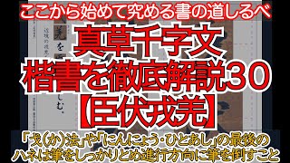 真草千字文（楷書）徹底解説30臣伏戎羌（「戈（か）法」と「にんにょう・ひとあし」からのハネは筆をしっかりととめてから進行方向へ倒すこと）