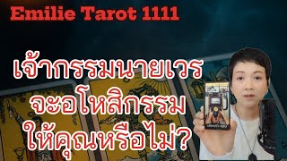 🪷🧘เจ้ากรรมนายเวร..อโหสิกรรมไหม?#soul #tarot #random #tarotreading #ดูดวง #ไพ่ยิปซี