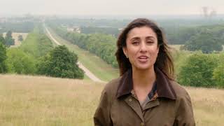 BBC One 12.30pm junction (11th September 2022)