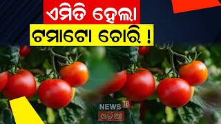 Live: Tamato Price Hike | ଏମିତି ବି ଚୋରି ହୁଏ ଟମାଟୋ !ଦେଖନ୍ତୁ Video| Inflation| Cuttack Chhatra Bazar