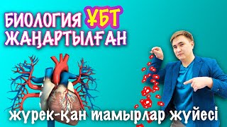 ҰБТ жүрек-қан тамырлар жүйесі