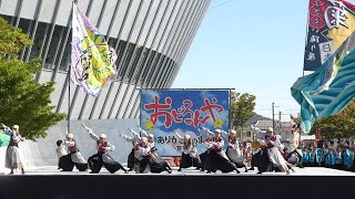 よさこい踊り屋『菊頭』 📍​おどるんや～第20回 紀州よさこい祭り～ (和歌山ビッグホエール屋外演舞場) 2024-11-09T12:24