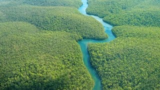 5 Most Important Rivers in the World