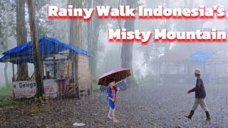 Rainy Walk in Indonesia's Misty Mountains: Soothing Birdsong \u0026 Scenic Views for Insomnia Relief