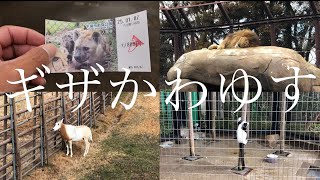 千葉市動物公園へGO!!!