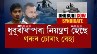 Cattle syndicate in Assam being controlled from Dhubri!!!