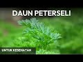 Manfaat Daun Peterseli untuk kesehatan