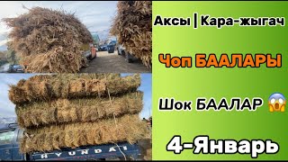 АКСЫ, КАРА-ЖЫГАЧ \\ ЧОПТОРДУН БААЛАРЫ 🔥 \\ ЧОП АЛУУЧУЛАР КОРУНУЗДОР 🔥\\ 4-январь