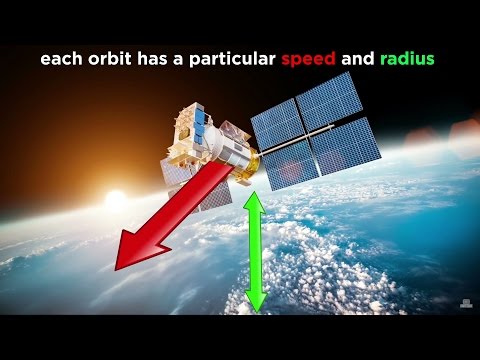 What is Newton’s 1st law of gravity?