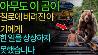 아무도 이 곰이 철도에 버려진 아기에게 한 일을 상상하지 못했다…