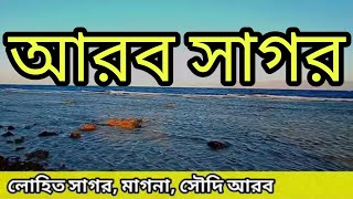 লোহিত সাগর, মাগনা, সৌদি আরব। Lohito Ocean | Sheikh Zahir