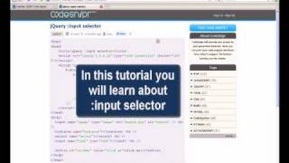 JQUERY Tutorial : jQuery input selector