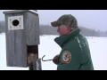 Wood Duck Boxes