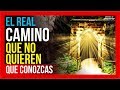 EL CAMINO Angosto y la puerta Estrecha 🤔 [🚫AL FIN REVELADO] | secretos del edén// Aprender Gnosis