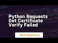 python requests get certificate verify failed