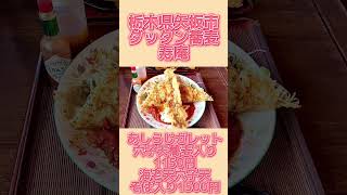 【驚愕！】びっくりの大きさ！巨大アナゴ天とエビ天がのった蕎麦【栃木県矢板市】ダッタン蕎麦 寿庵(じゅあん)【栃木グルメ】#shorts