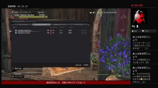 【ドラゴンズドグマオンライン】DDON＃49,75　落ちましたごめんなさい2度目