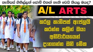 කලා විශය ධාරාවෙන් මේ Degree එක කරොත් ජොබ් නැති වෙන්නෙ නෑ |ISHANKA SHAMAL |