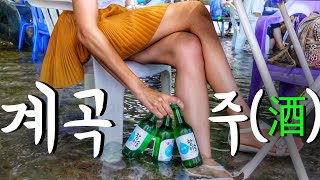 남자손님이 많았던 내 다리밑에서 술 꺼내먹는 특이한? 낮술집