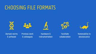 Knowledge clip: file formats