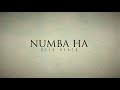 DILU Beats - Numba Ha (Suraganak Wilasa) - Official Lyrics Video