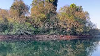 Reflective Moments - Clarity