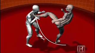 Human Weapon Savate