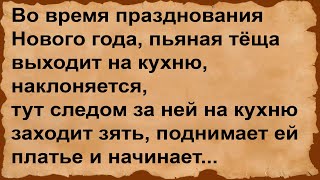 Про пьяную тёщу с зятем на кухне... Сборник анекдотов!