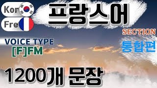 프랑스어 / Type [F] F M [통합편] 원어민 발음. 짧고 쉬운 1,200(4.5 hr) 문장 연속 듣기.  / 생활 회화. 식당. 교통. 쇼핑. 호텔. 공항. 병원.