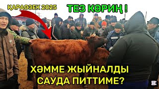 19-ФЕВРАЛ ҚАРАӨЗЕК МАЛ БАЗАРЫ МАЛҒА ТАЛАСТЫ! БАХАЛАР ӨЗГЕРДИ ХАЛЫҚ КӨРСИН!