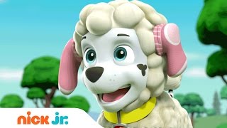 Nursery Rhyme Songs for Kids | Stay Home #WithMe | Music | Nick Jr.