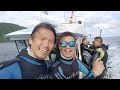 h.a.scuba team 滾水鼻錘頭鯊