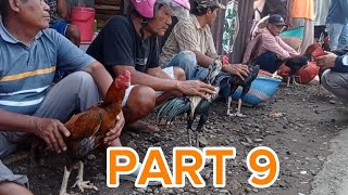 PART 9 | PASAR AYAM BANGKOK