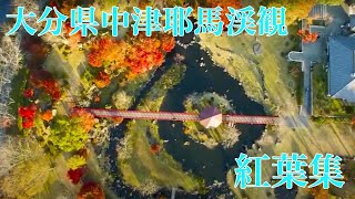 【中津耶馬渓観光協会】紅葉編