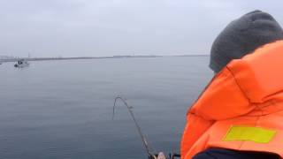 ловля мерланга в черном море ловля мерланга в черном море
