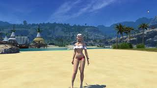 FINAL FANTASY XIV:  Endless Summer attire