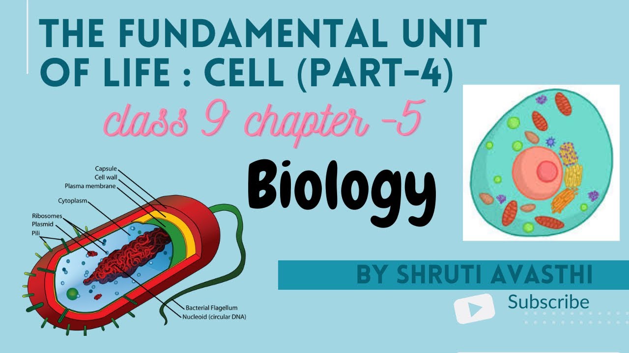 Class 9 Chapter-5 | Fundamental Unit Of Life (part-4)| Science Biology ...