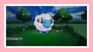 (WSHC #2) RANDOM Shiny Mareep!