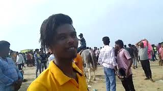 channi marina beach