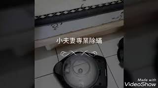 貓尿抽除●精油洗床