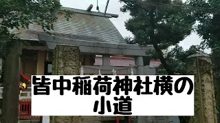 新大久保 皆中稲荷神社横の小道　平日18時頃