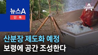 [단독]복지부, 산분장 제도화 예정…보령에 공간 조성한다 | 뉴스A