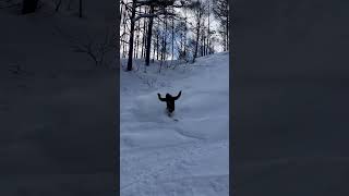 January 14,2025 Today’s MADARAO #斑尾高原スキー場 #斑尾高原 #skiing #snowboarding #スキー場 #snow #travel