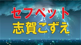 【テレフォン人生相談 】🌜 「セフペット」今井通子 志賀こずえ■人生に立ち止まったあなたへ。